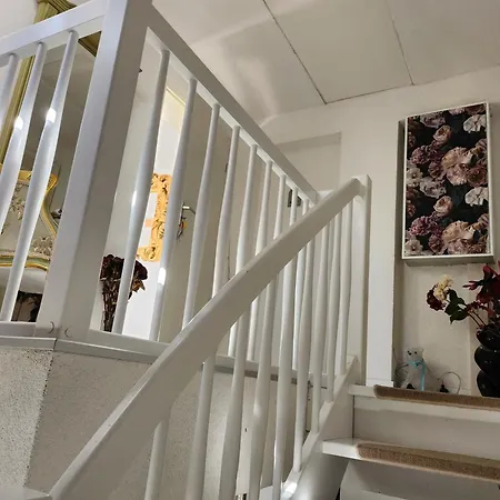 Ani & Rustikal Patzig